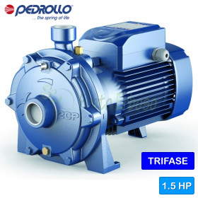 2CP 25/14B - 1.5 HP three-phase twin-impeller centrifugal pump Pedrollo - 1