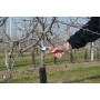 Felco 2 - Pruning for pruning, cutting 25 mm Felco - 4