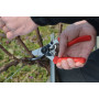 Felco 7 - Scissors for pruning, cutting 25 mm Felco - 3