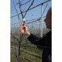 Felco 7 - Scissors for pruning, cutting 25 mm