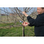 Felco 8 - Scissors for pruning, cutting 25 mm Felco - 3