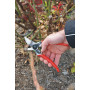 Felco 11 - Scissors for pruning, cutting 25 mm Felco - 2