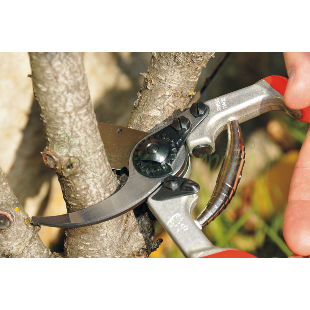 Felco 13 - Scissors for pruning, cutting 30 mm - Felco