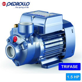 PK 100 - 1.5 HP three-phase peripheral impeller electric pump Pedrollo - 1