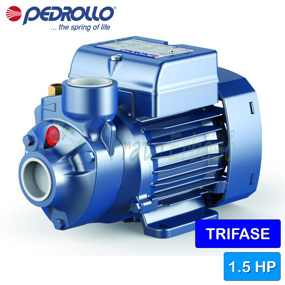 Elettropompa Centrifuga Pedrollo 2-5CR-X - Trifase 380V - Portata 7.8 M3/h, Prevalenza 67m - Per Acqua Pulita - Foto 7