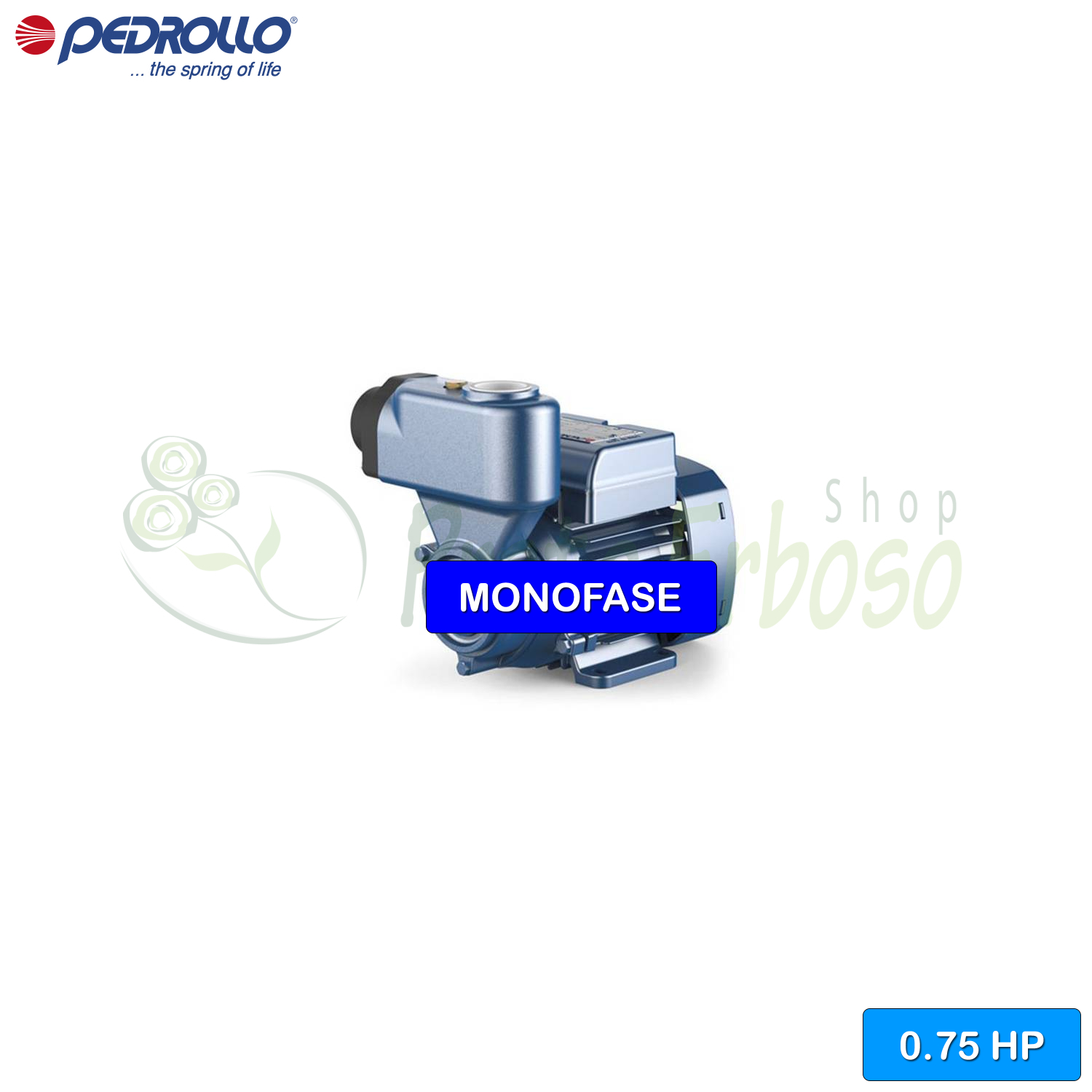 Elettropompa Pedrollo PKSm 65, 0.75 HP (550W), Monofase 220V, Autoadescante - Foto 2