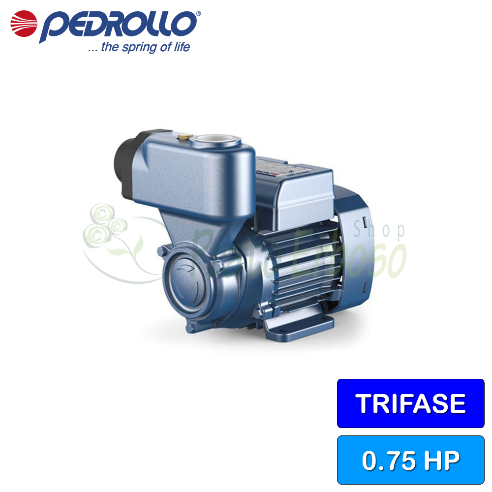 Elettropompa Centrifuga Pedrollo 2-5CR-X - Trifase 380V - Portata 7.8 M3/h, Prevalenza 67m - Per Acqua Pulita - Foto 10