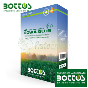 Semințe de gazon Royal Blue Plus - 1 kg