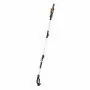 WG349E - Potatore telescopico a batteria 20V Worx - 2