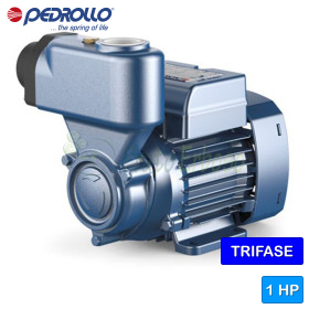 PKS 80 - Self-priming electric pump with 1 HP three-phase peripheral