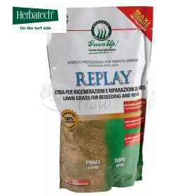 Replay - Semillas de césped 1,2 kg Herbatech - 1