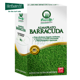 Almaprato Barracuda - 500 g de graines de gazon Herbatech - 1