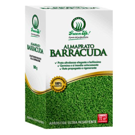 Almaprato Barracuda - 500 g de graines de gazon Herbatech - 1