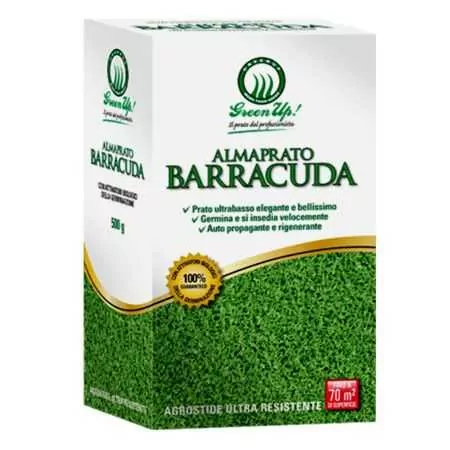 Almaprato Barracuda - 500 g de graines de gazon