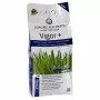 Vigor Plus - îngrășământ pentru gazon de 4 kg