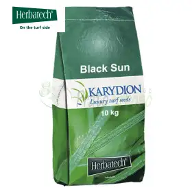 Black Sun - Semences pour gazon 10 kg