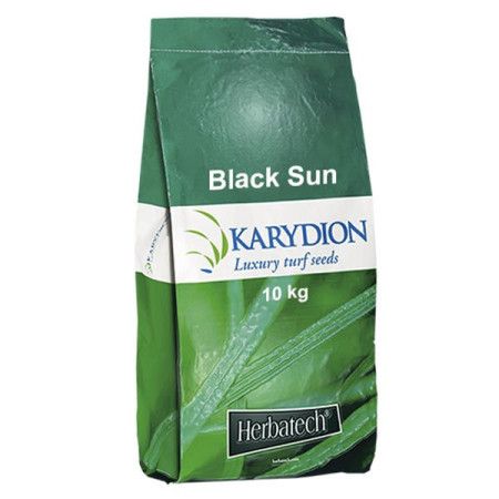 Soleil Noir - 10kg Semences à Gazon