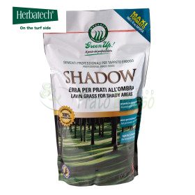 Shadow - Rasensamen 1,2 kg