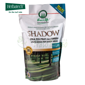 Shadow - Rasensamen 1,2 kg Herbatech - 1