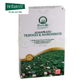 Almaprato Trèfles et Marguerites - Semences à gazon 250 g Herbatech - 1