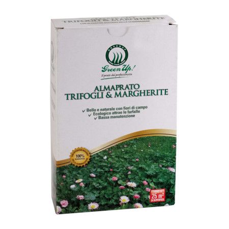 Almaprato Trèfles et Marguerites - Semences à gazon 250 g Herbatech - 1