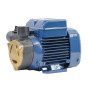 PQAm 60 - Single-phase peripheral impeller electric pump 0.50 HP