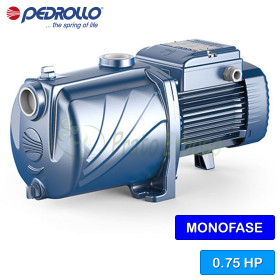 3CPm 100 - Elettropompa multigirante monofase da 0.75 HP Pedrollo - 1