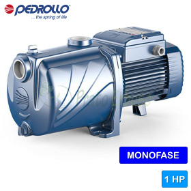 4CPm 100 - Elettropompa multigirante monofase da 1 HP