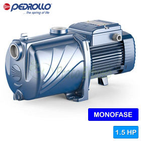 5CPm 100-I - Single-phase multi-impeller electric pump Pedrollo - 1