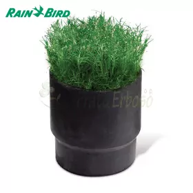 SOD CUP - sod holder