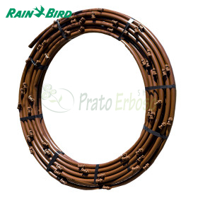 XQF7512100 - Colector de canalizare XQF 25 mm