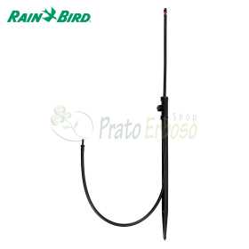 Jet Spike 180 grados - Micro aspersor en Spike Rain Bird - 1