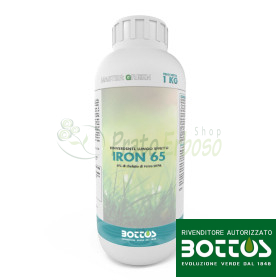 Iron 65 - Liquid fertilizer for lawns of 1 kg Bottos - 1