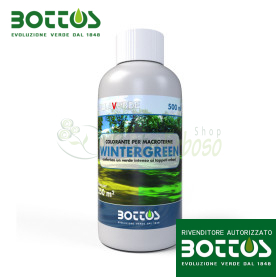 Wintergreen - Colorante per prato di macroterme da 500 ml