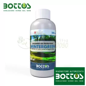 Wintergreen - Dye for lawn macroterme