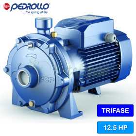 2CP 40/200B - 12.5 HP three-phase twin-impeller centrifugal pump Pedrollo - 1