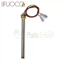 951028600 - Spark plug - Punto Fuoco