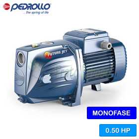 FUTURE JETm 1C - Single-phase self-priming electric pump Pedrollo - 1