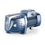 FUTURE JETm 1B - Single-phase self-priming electric pump Pedrollo - 1