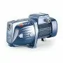 FUTURE JET 2AX - 1.25 HP three-phase self-priming electric pump