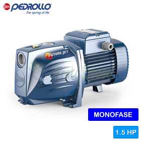 FUTURE JETm 2A-ST - Single-phase self-priming electric pump Pedrollo - 1