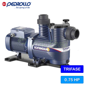 MAGNIFICA 1 - 0.75 HP Three-Phase Pool Pump Pedrollo - 1