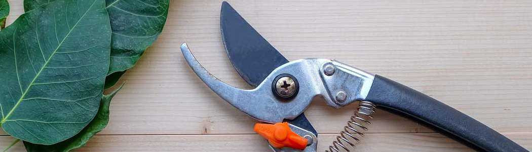 Manual shears