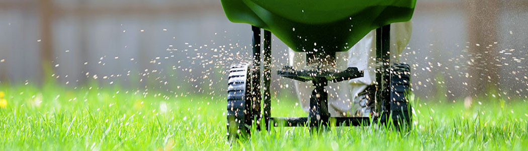 Lawn Fertilizers