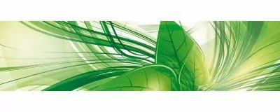 Insecticides