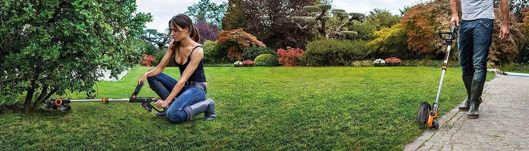 Desbrozadoras a batería