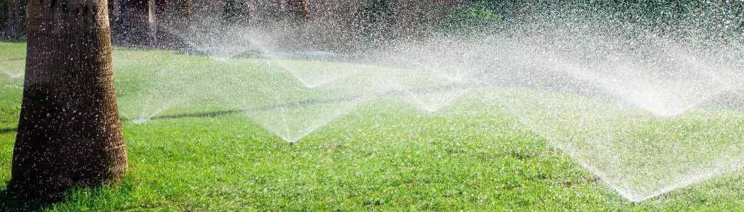 Garden watering