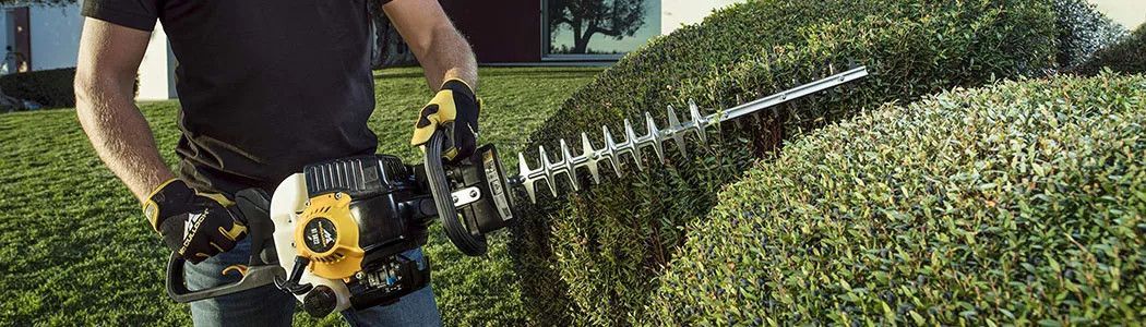 Petrol hedge trimmers