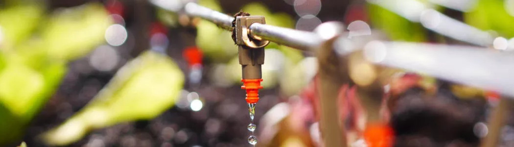 Microirrigazione
