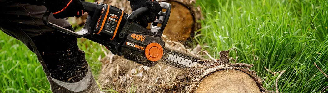 Cura di alberi e piante